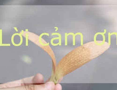 “Phương pháp chữa bệnh bằng năng lượng vũ trụ, rất đơn giản mà hiệu quả”